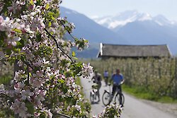 Frühlingserwachen in Südtirol